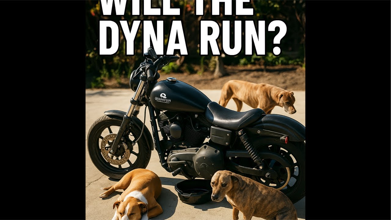 1999 Harley Dyna FIXED? CPS, Coil, Plugs & Wiring — First Test Ride!