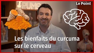 Est-ce que le curcuma améliore et protège le cerveau ?