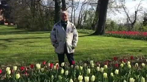 Quanti tulipani si regalano?