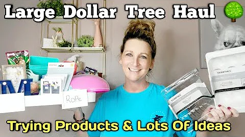 LARGE DOLLAR TREE HAUL| ALL NEW| MANY ORGANIZATION PRODUCTS