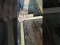 Grooving solidwood  woodcut  trendingshorts