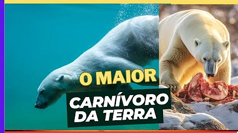 O maior carnívoro terrestre