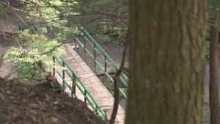Ohio Hiking Trail Named Best In America: See Which Location Just Earned Top Honors