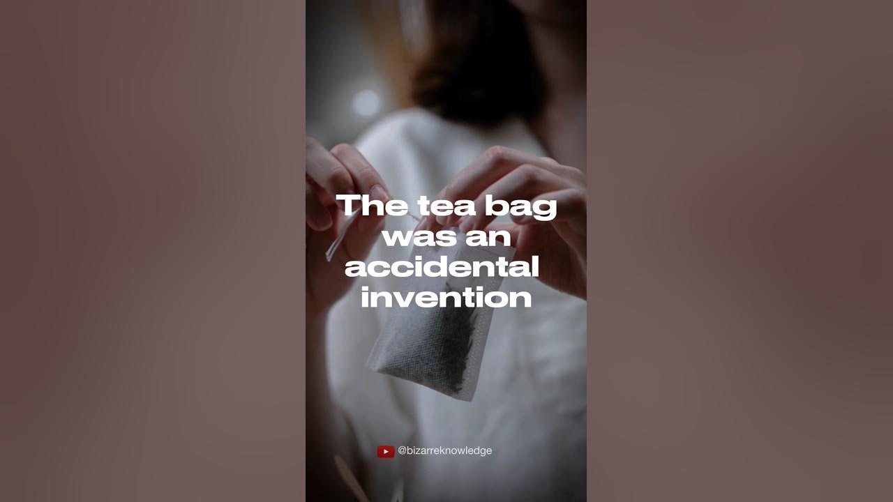 The tea bag was an accidental invention.... fact factshorts 
