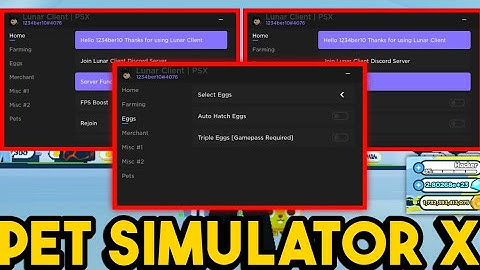 Arceus X Pet Simulator X Script 🌊