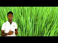 කොල සුදු වෙලාද......? [ leaf Folder trailer ]