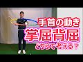 手首の動き掌屈背屈どちらで考える?