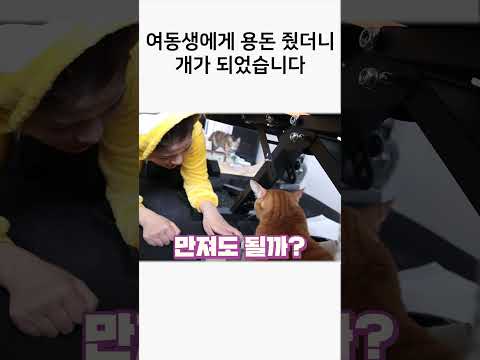 <strong>여동생에게</strong> 용돈 줬더니