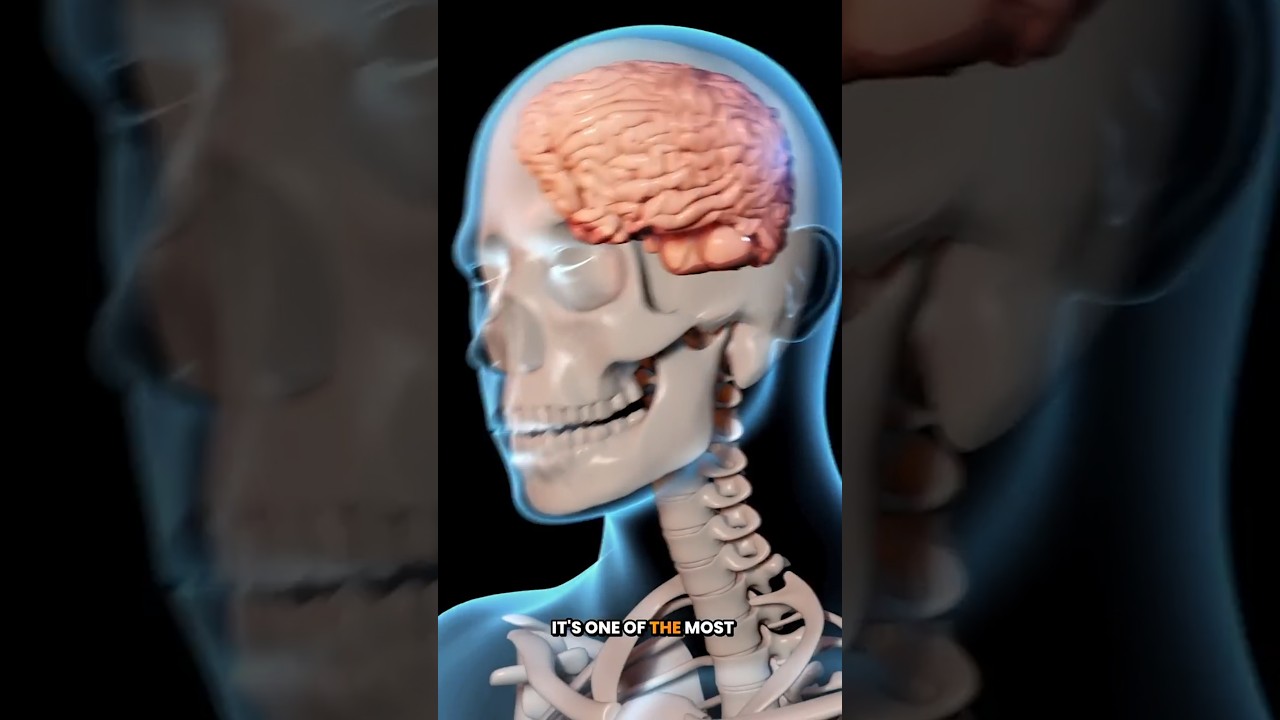 Head Injuries in Car Accidents