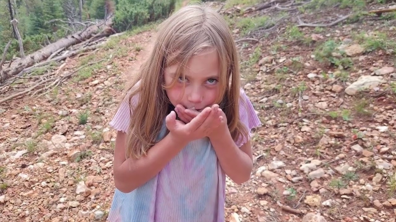 The Virgin River Rim Trail, Part I