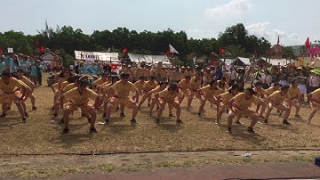 Dân vũ Chu Chu Wa 11/22 THPT Phan Châu Trinh, Đà Nẵng