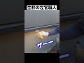 無駄のない動き！生粋の左官職人(TAKA兄親友)#shorts