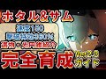【崩壊スターレイル】「ホタル」の育成・性能解説!/オススメ光円錐/遺物/オーナメント/編成ビルドを紹介!【スタレ】#ルアンメェイ #開拓者 #ホタル