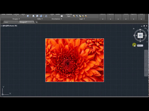 Video: Come Inserire Un'immagine In Un Modello