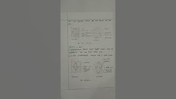 Class 8 Science Assignment 2022(5th week)।। #shorts #youtubeshorts #class_8_science_assignment_2022