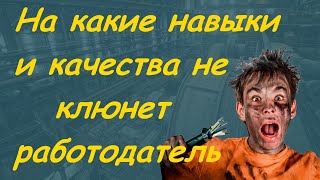 На какие навыки и качества не клюнет работодатель(На какие навыки и качества не клюнет работодатель узнайте из этого видео., 2016-05-30T07:41:02.000Z)