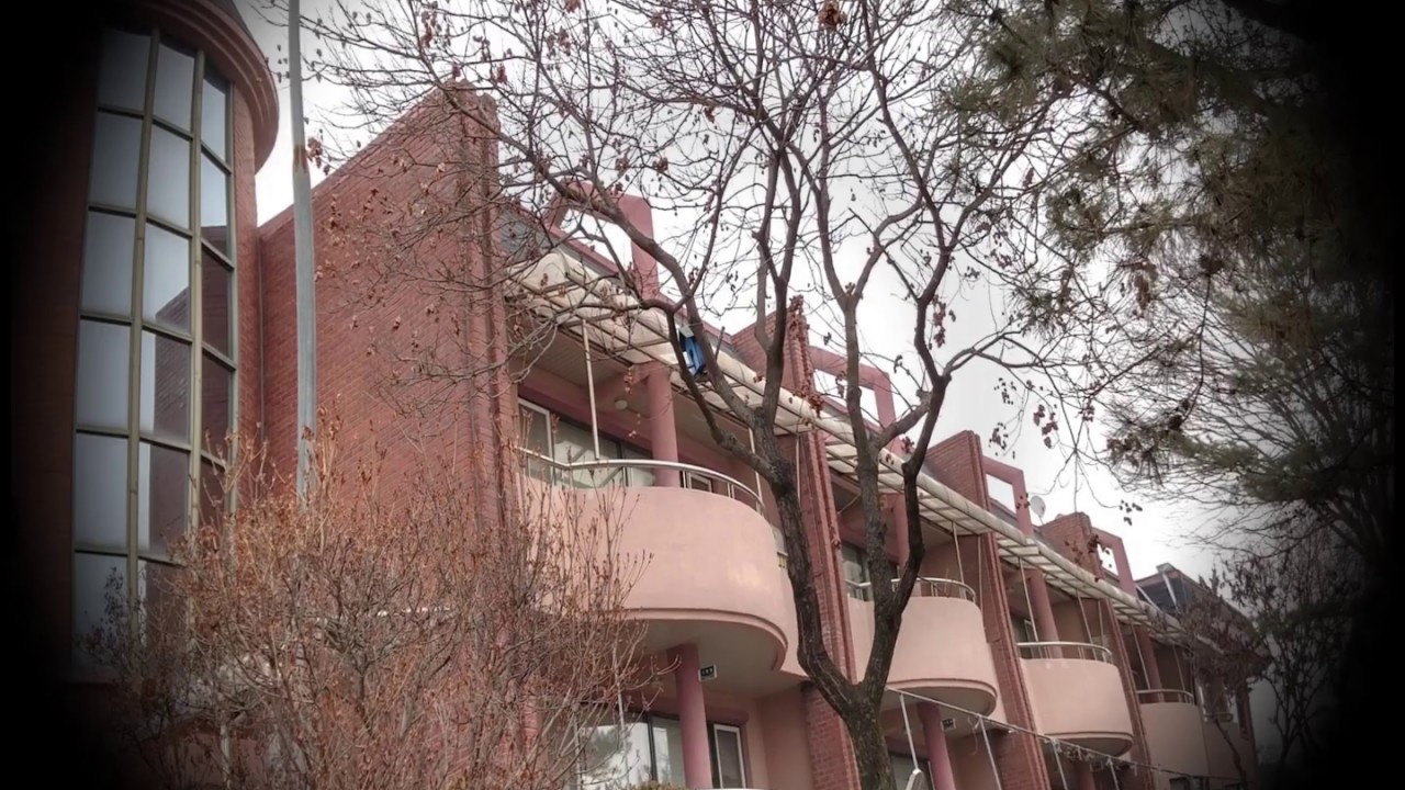 금산초등학교 교가