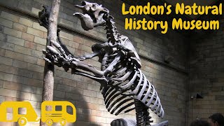 Throwback Thursday Feb 2021 Londons Natural History Museum July 2013