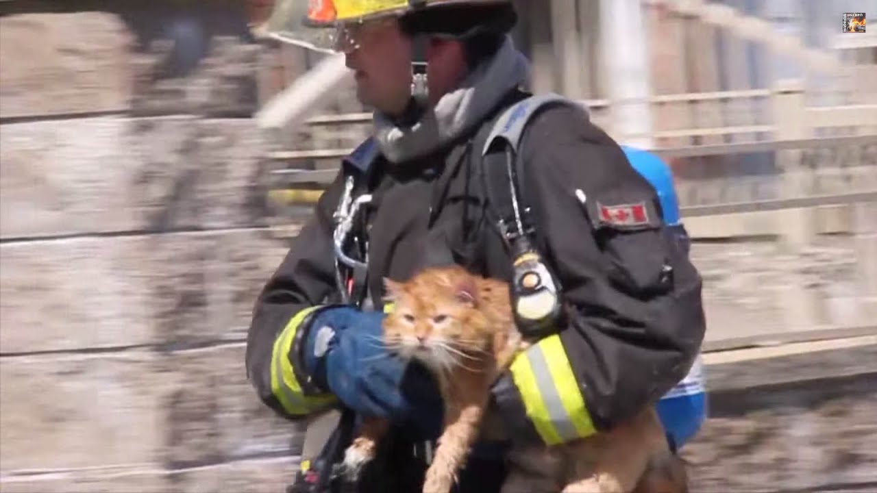 2013 Demo Reel: Best moments of Fire, Police & EMS canon definicion