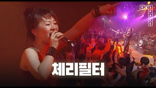 체리필터 - 낭만 고양이 | SPACE LIVE