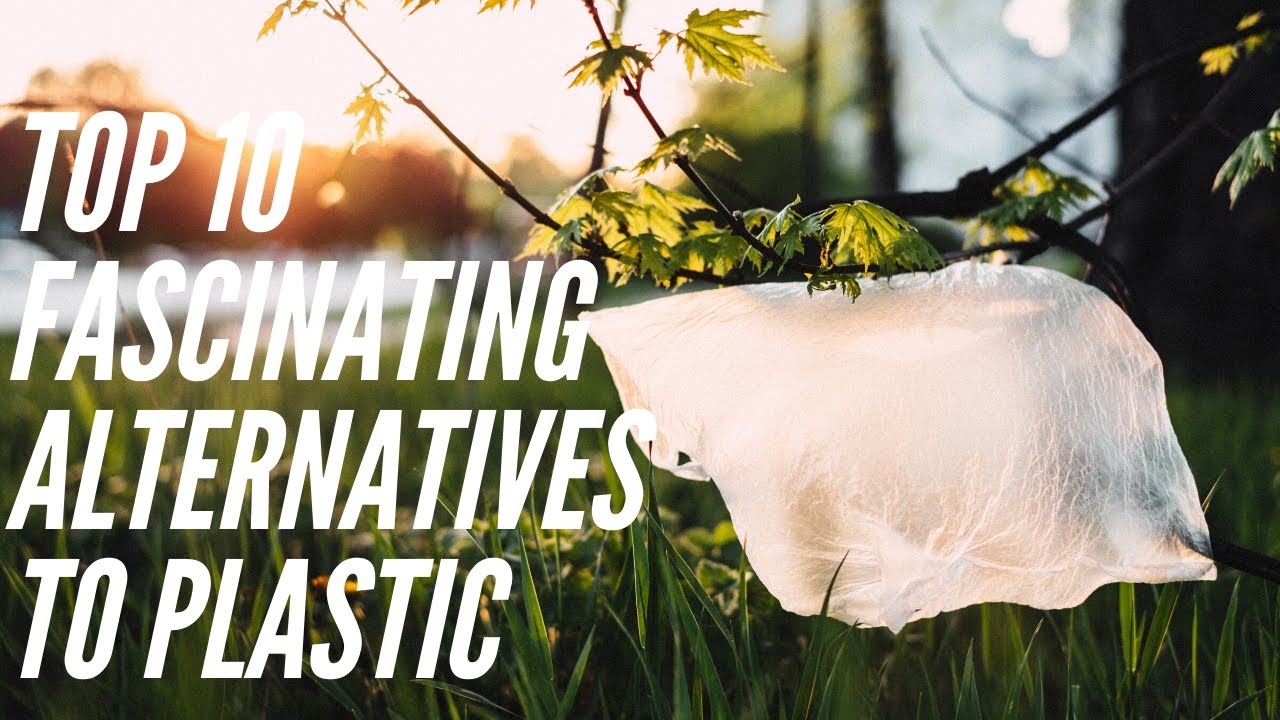 Top 10 Fascinating Alternatives To Plastic