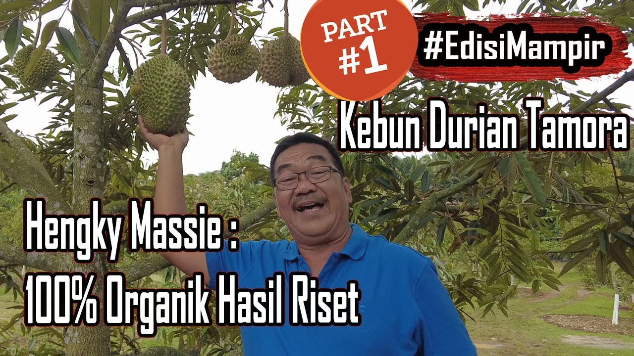 Hengky Massie : Banyak Yang Bully Karena Saya Memilih Organik - #EdisiMampir Kebun Durian Tamora (1)