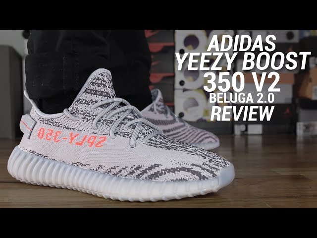 ADIDAS YEEZY BOOST 350 V2 BELUGA 2.0 REVIEW - YouTube