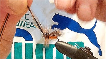 tying a flatwing sedge caddis dry fly