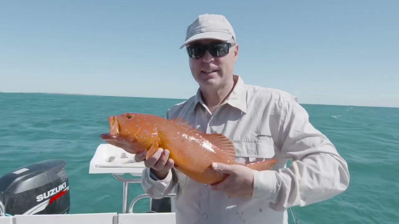 Exmouth full day fishing charter with exmouth fishing adventures. YouTube