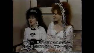 Strawberry Switchblade tokyo rock TV