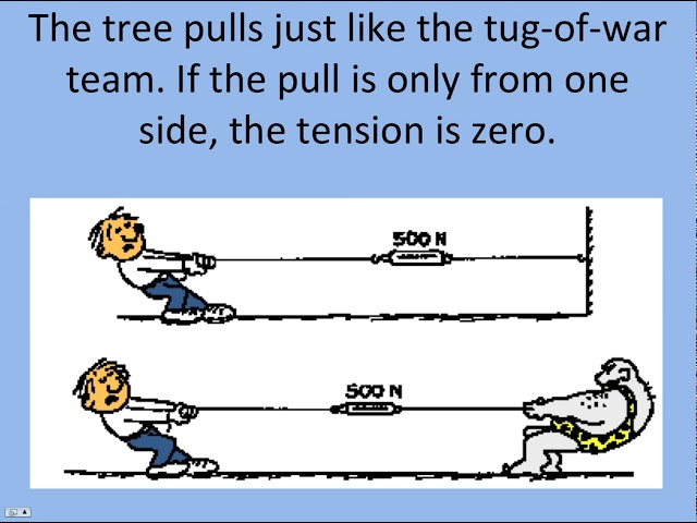 Tug-of-War Rules