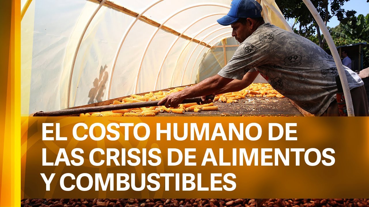 Combustible para el futuro: Los 10 mejores alimentos para una vida