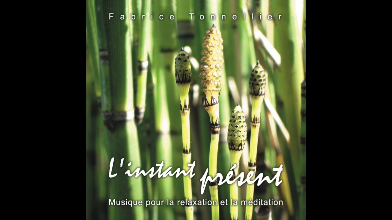Watch La source claire (The Clear Source) - Fabrice Tonnellier - Musique relaxation on YouTube Watch La source claire (The Clear Source) - Fabrice Tonnellier - Musique relaxation on YouTube