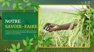 [CASL] Notre savoir-faire en 08 points