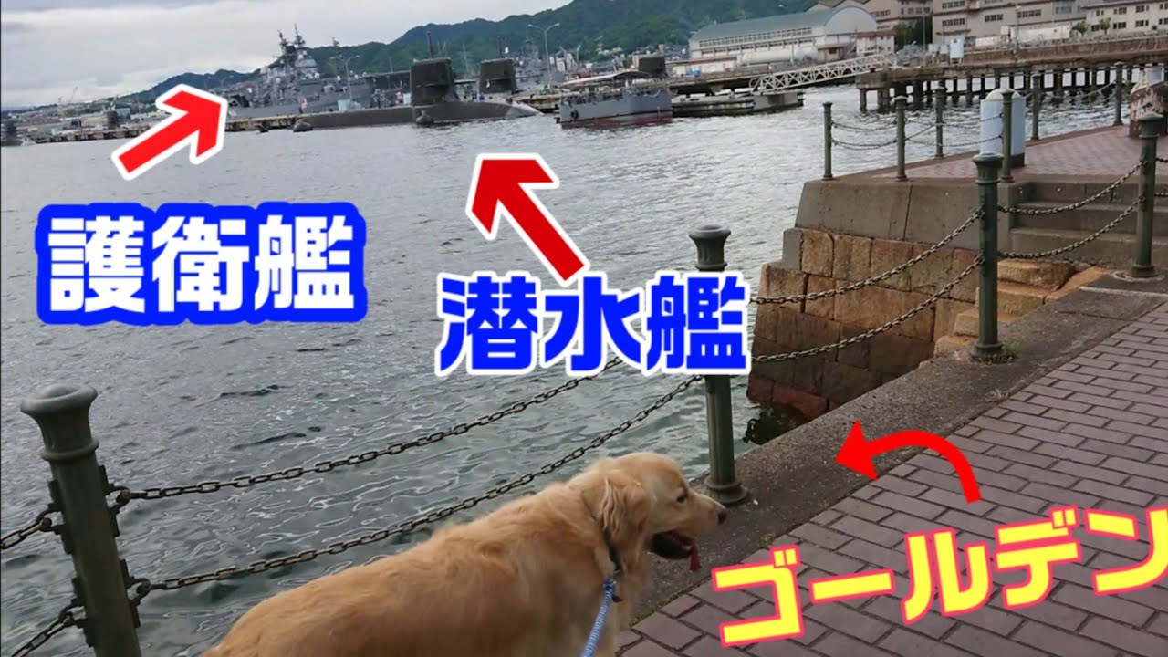 潜水艦と護衛艦とゴールデンレトリバー Youtube