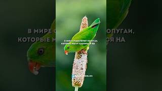 #факты #facts #хочуфакты #реальныефакты #скрытые #удивительныефакты #невероятныефакты #motivation