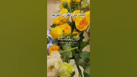 ايات من القرآن الكريم صوت جميل