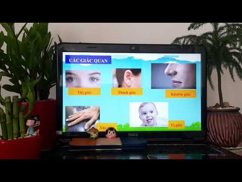 Bài giảng trực tuyến Thứ tư ngày 01/04/2020 Môn Tập làm văn - Lớp 4.