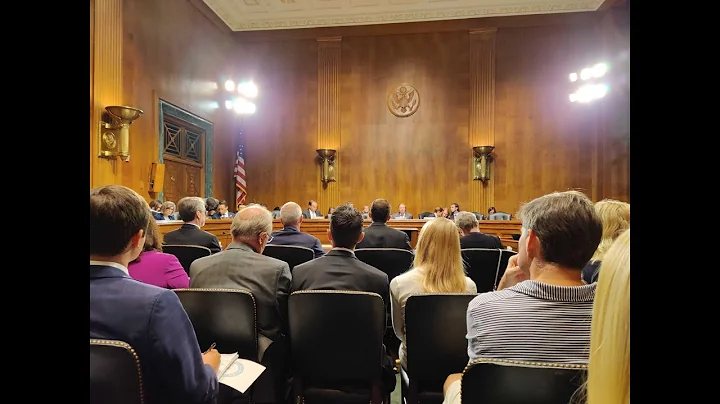 Senate Hearing on Protecting Children Online with Dawn Hawkins and Chris McKenna: a Recap