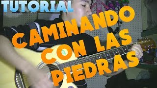 Vídeo de Caminando con las piedras