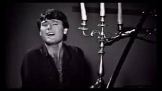Ferdi Özbeğen - Dilek Taşı