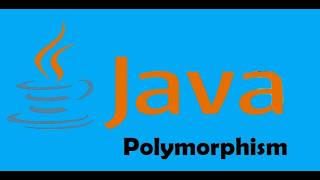 Full Polymorphism  -2026 Guide