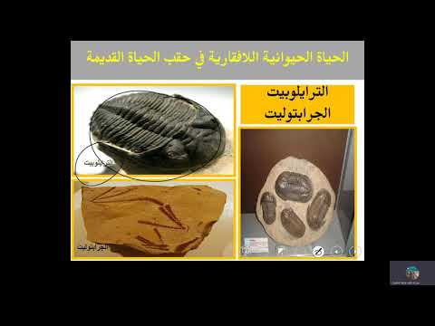 سلم الزمن الجيولوجي