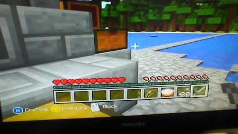 Minecraft Xbox 75th Hunger Games