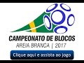 Show de Bola - Campeonato de Blocos 2017 - G@tos.com X Nativos - Grande Final