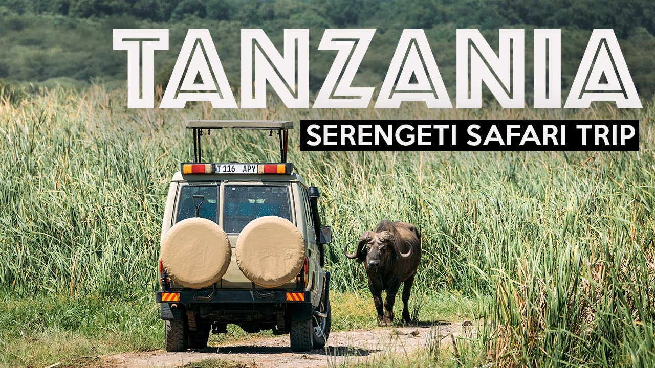TANZANIA SAFARI  Exploring The Serengeti