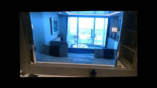 Celebrity Edge Sky Suite Tour Wealth