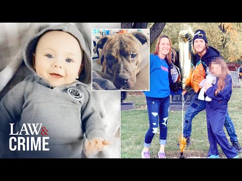 Pit Bull Kills Baby By Ripping Open Skull Parents Charged