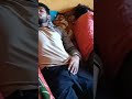 Group sleeping hostel life