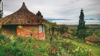 Ambua Lodge, Tari